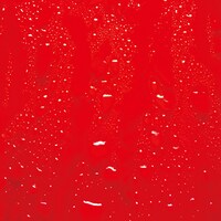 RED WARRIORS「FIRE DROPS」ジャケット