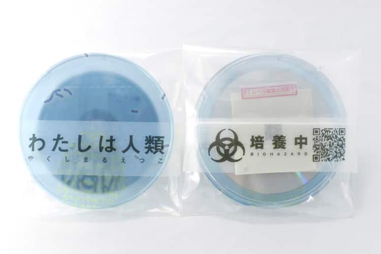 やくしまるえつこ、音源＆微生物作品「わたしは人類」CD入りシャーレ 
