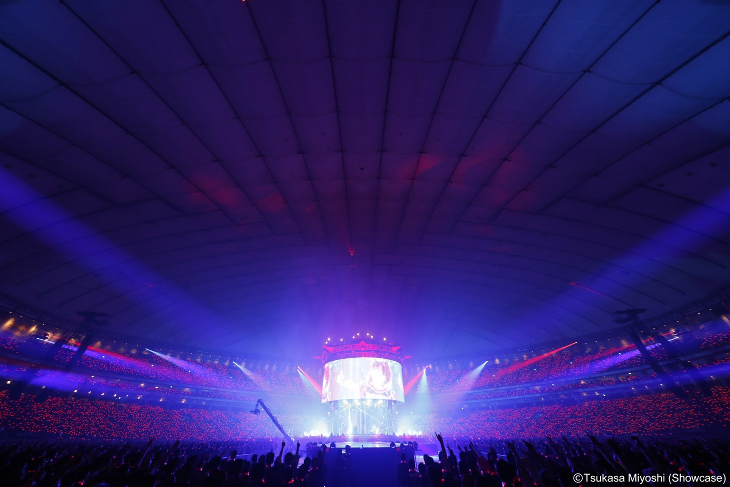 「BABYMETAL WORLD TOUR 2016 LEGEND -METAL RESISTANCE- BLACK NIGHT」の様子。