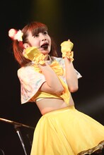 甘夏ゆず（写真提供：ポニーキャニオン）