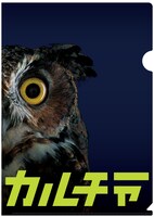 HMV特典の「『おはカル』クリアファイル（A4）」。