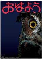 HMV特典の「『おはカル』クリアファイル（A4）」。