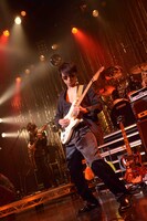 ポリネシアン・キヨII世（G）（撮影：野田雅之）