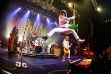 WANIMA「JUICE UP!! TOUR」東京・Zepp DiverCity TOKYO公演の様子。（撮影：瀧本”JON…”行秀）