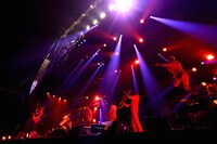 東京スカパラダイスオーケストラ（撮影：半田“H.and.A”安政［Showcase］）