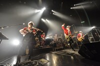 BIGMAMA「BIGMAMA 2016 Xmas Special Live 夜の部 ～帰ってきたLonely Xmas～」の様子。（Photo by AZUSA TAKADA）