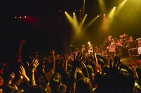 BIGMAMA「BIGMAMA 2016 Xmas Special Live 夜の部 ～帰ってきたLonely Xmas～」の様子。（Photo by AZUSA TAKADA）