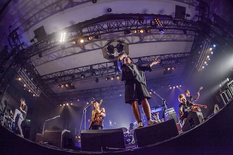 キュウソネコカミ（Photo by HayachiN、Yukihide "JON" Takimoto、rockey、OOMO）