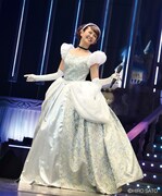 南野陽子「NANNO 31st ANNIVERSARY~シンデレラ城への長い道のり~」の様子。