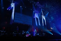 エアリアルパフォーマンスの様子。（撮影：鈴木健太、大杉明彦）