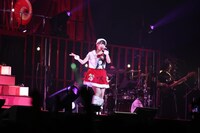 サンタ衣装に着替えた上坂すみれ。（撮影：鈴木健太、大杉明彦）