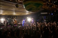 EGO-WRAPPIN'「Midnight Dejavu」12月25日公演の様子。 （撮影：仁礼博）