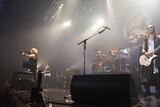 BULL ZEICHEN 88「BULL ZEICHEN 88円 ~おごるぜマジで~」東京・Zepp DiverCity TOKYO公演の様子。