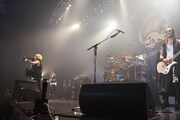 BULL ZEICHEN 88、10年間の集大成見せた88円DiverCity公演