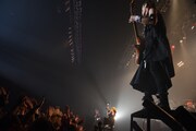 BULL ZEICHEN 88「BULL ZEICHEN 88円　～おごるぜマジで～」東京・Zepp DiverCity TOKYO公演の様子。