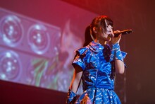 羽島めい（撮影：藤巻祐介）