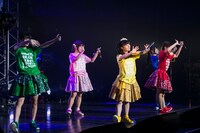 神宿（撮影：藤巻祐介）