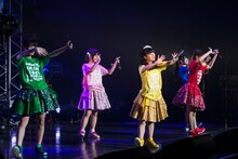 神宿（撮影：藤巻祐介）