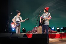 さくらしめじ（撮影：埼玉泰史）