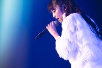 Pile（撮影：田中聖太郎）