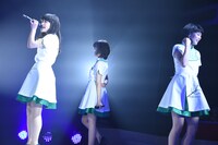 Negicco