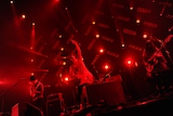 WHITE ASH