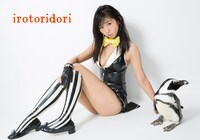 「でんぱ組.incアートブックコレクション(2) irotoridori」ローソンHMV購入特典の生写真。