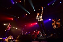 夜の本気ダンス