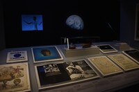 「DAVID BOWIE is」の様子。