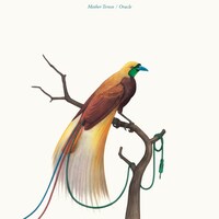 Mother Tereco「Oracle」ジャケット
