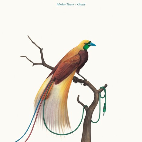 Mother Tereco「Oracle」ジャケット