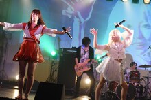 ぜんぶ君のせいだ。ワンマンLIVE「～ぜんぶ僕のせいだ。～」の様子。