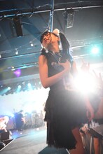 ◎屋しだれ（ゆくえしれずつれづれ）