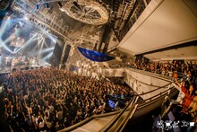 感覚ピエロ ライブのワンシーン。