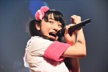 小泉遥香（ときめき▽宣伝部）