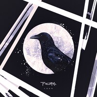 アルコサイト「CROW」ジャケット