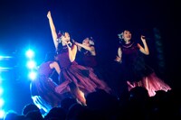 ひめキュンフルーツ缶（撮影：笹森健一）