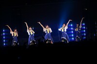 ロッカジャポニカ（撮影：笹森健一）