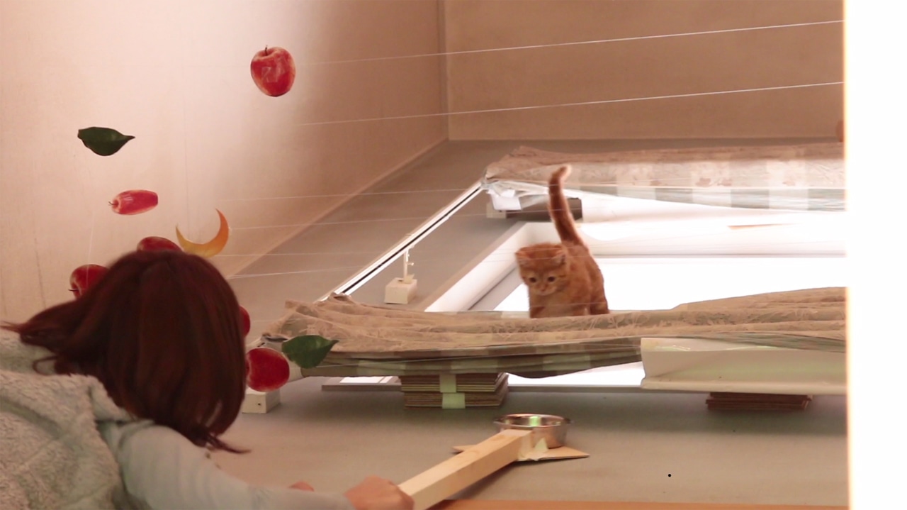 「GRAVITY CAT / 重力的眩暈子猫編」撮影の様子。