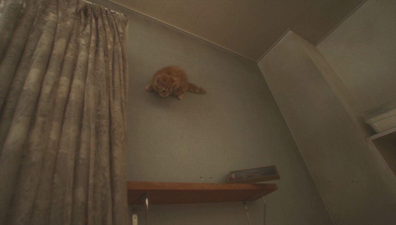 「GRAVITY CAT / 重力的眩暈子猫編」のワンシーン。