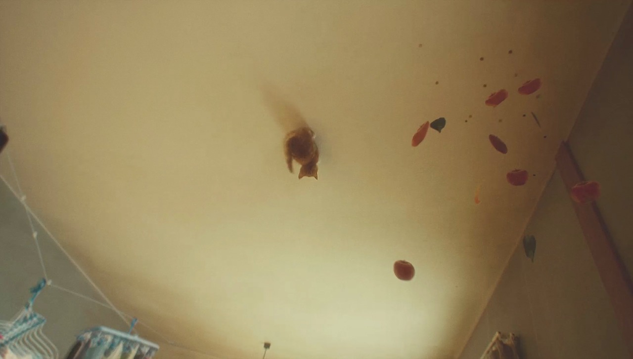 「GRAVITY CAT / 重力的眩暈子猫編」のワンシーン。