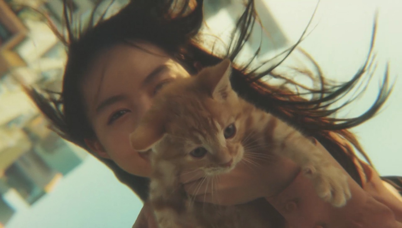 「GRAVITY CAT / 重力的眩暈子猫編」のワンシーン。