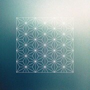 Ivy to Fraudulent Game「継ぐ」ジャケット
