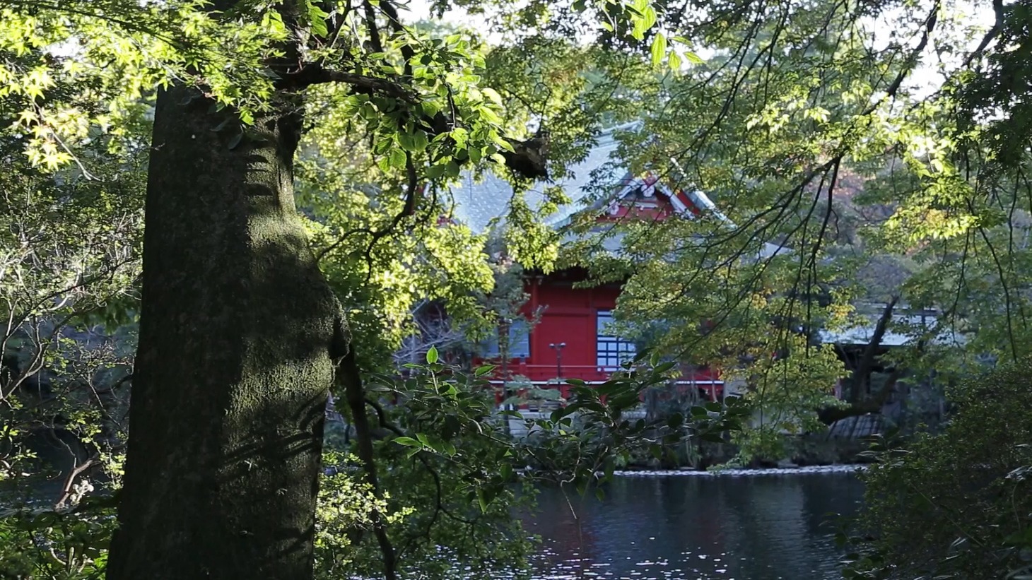 東京・井の頭恩賜公園