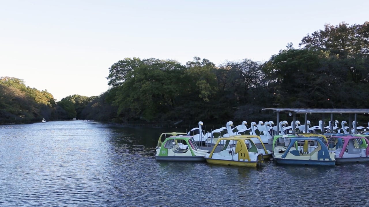 1日3回、やくしまるえつこの音声案内が流れる井の頭公園の様子を紹介