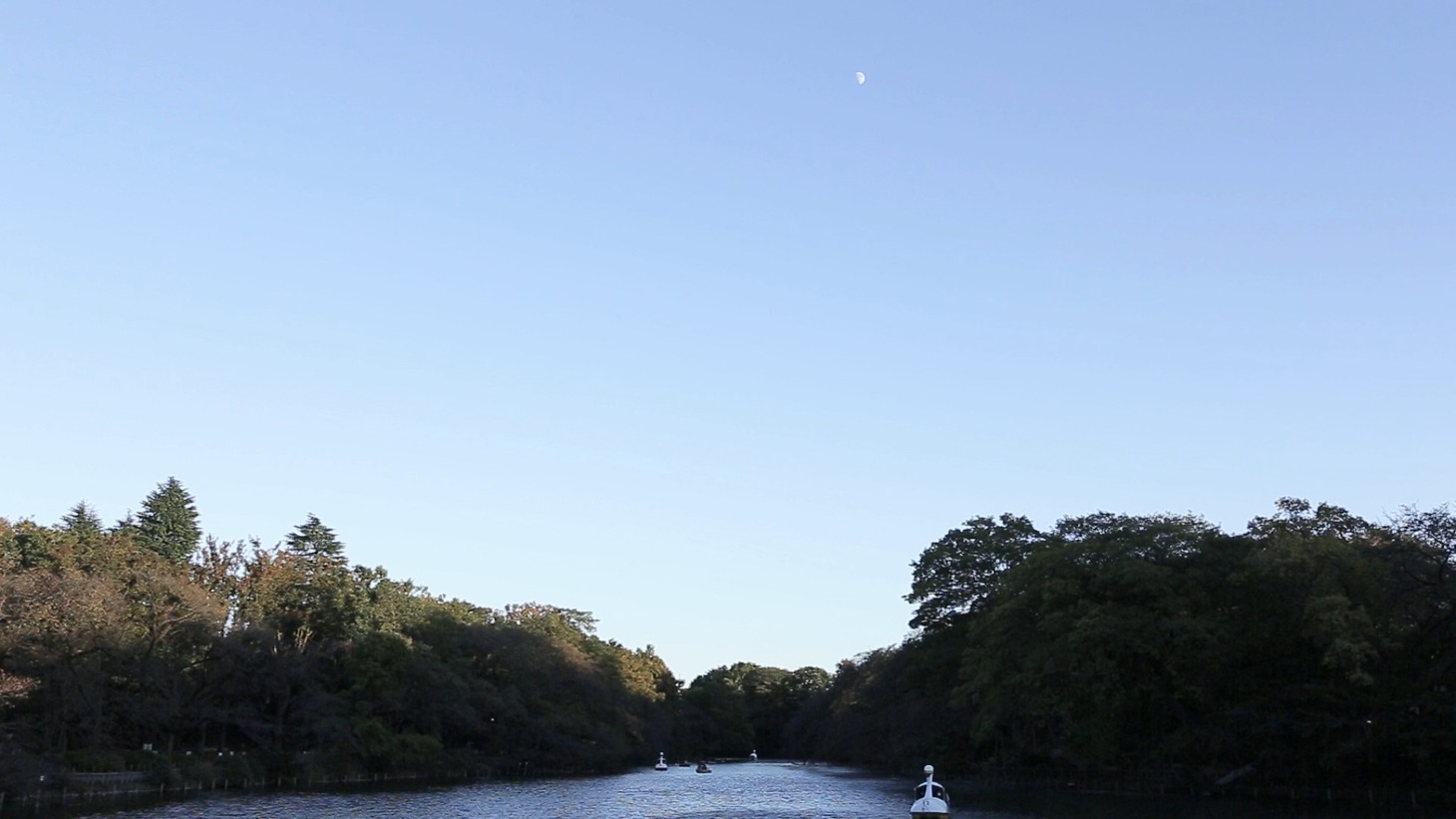 東京・井の頭恩賜公園