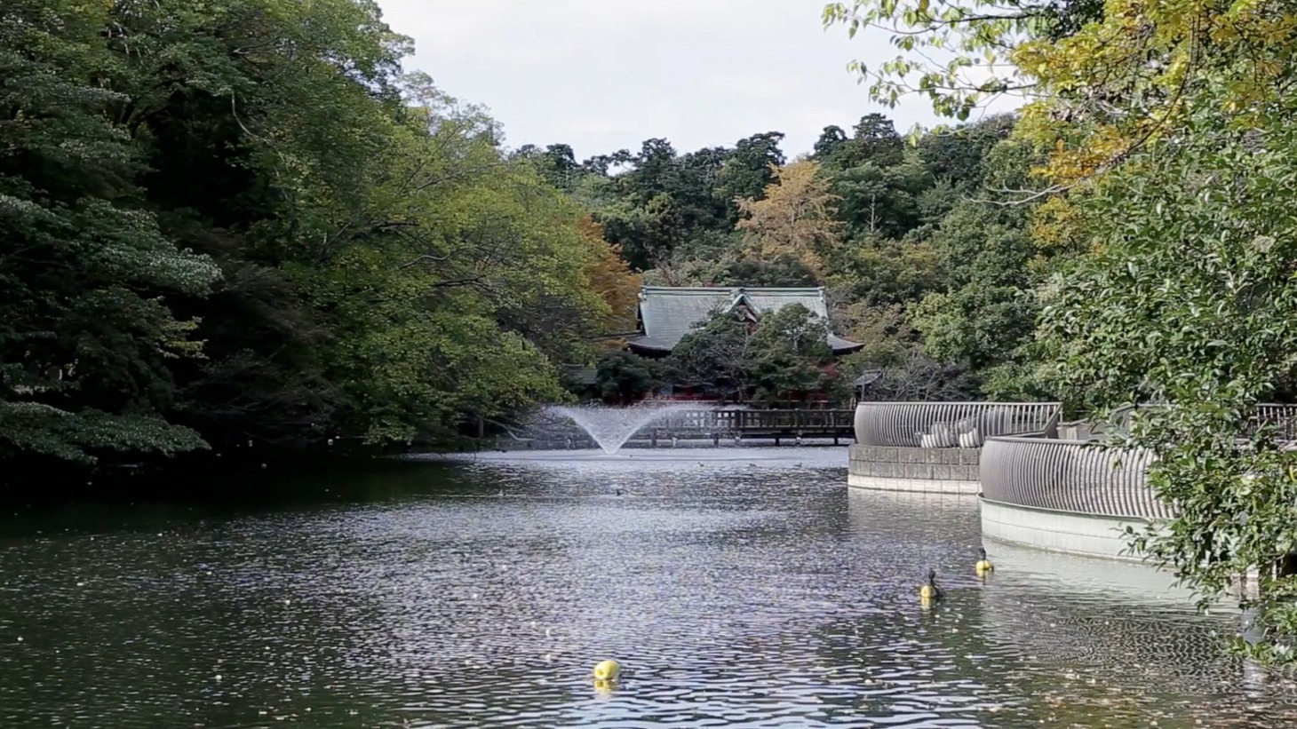 東京・井の頭恩賜公園