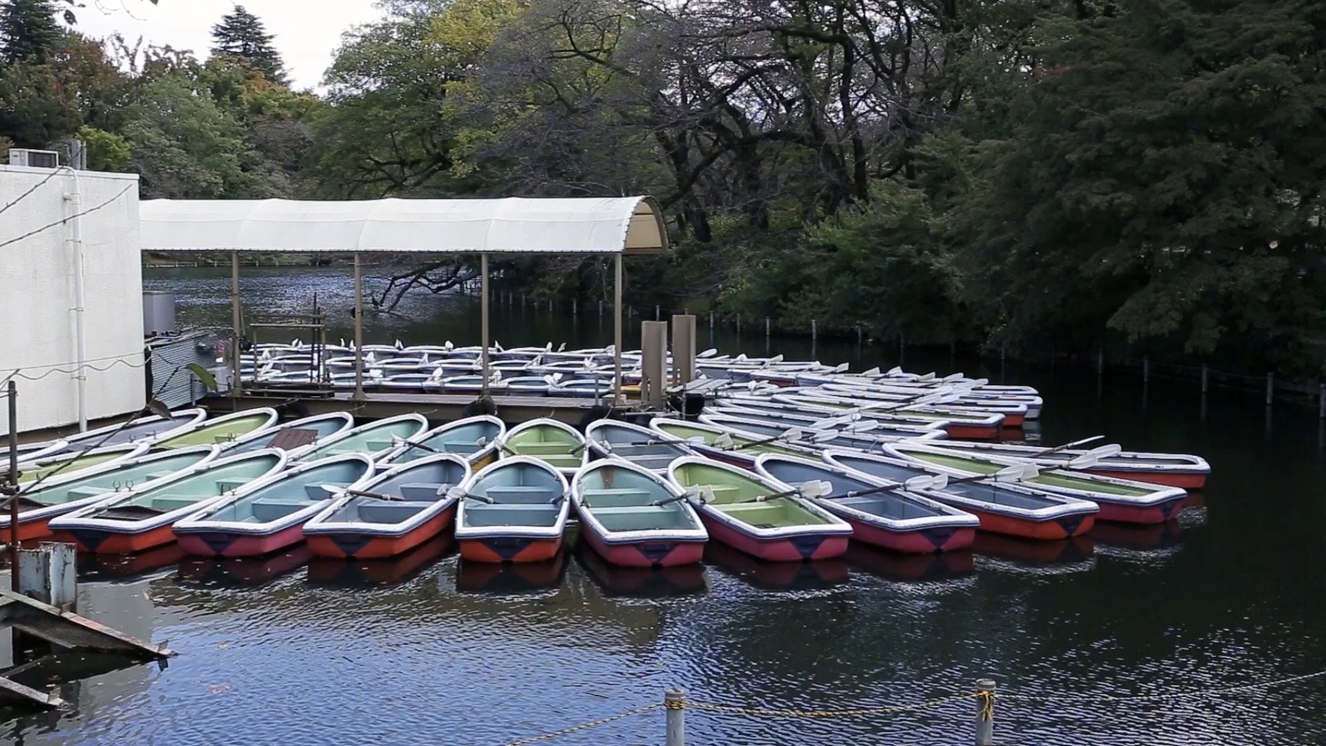 東京・井の頭恩賜公園