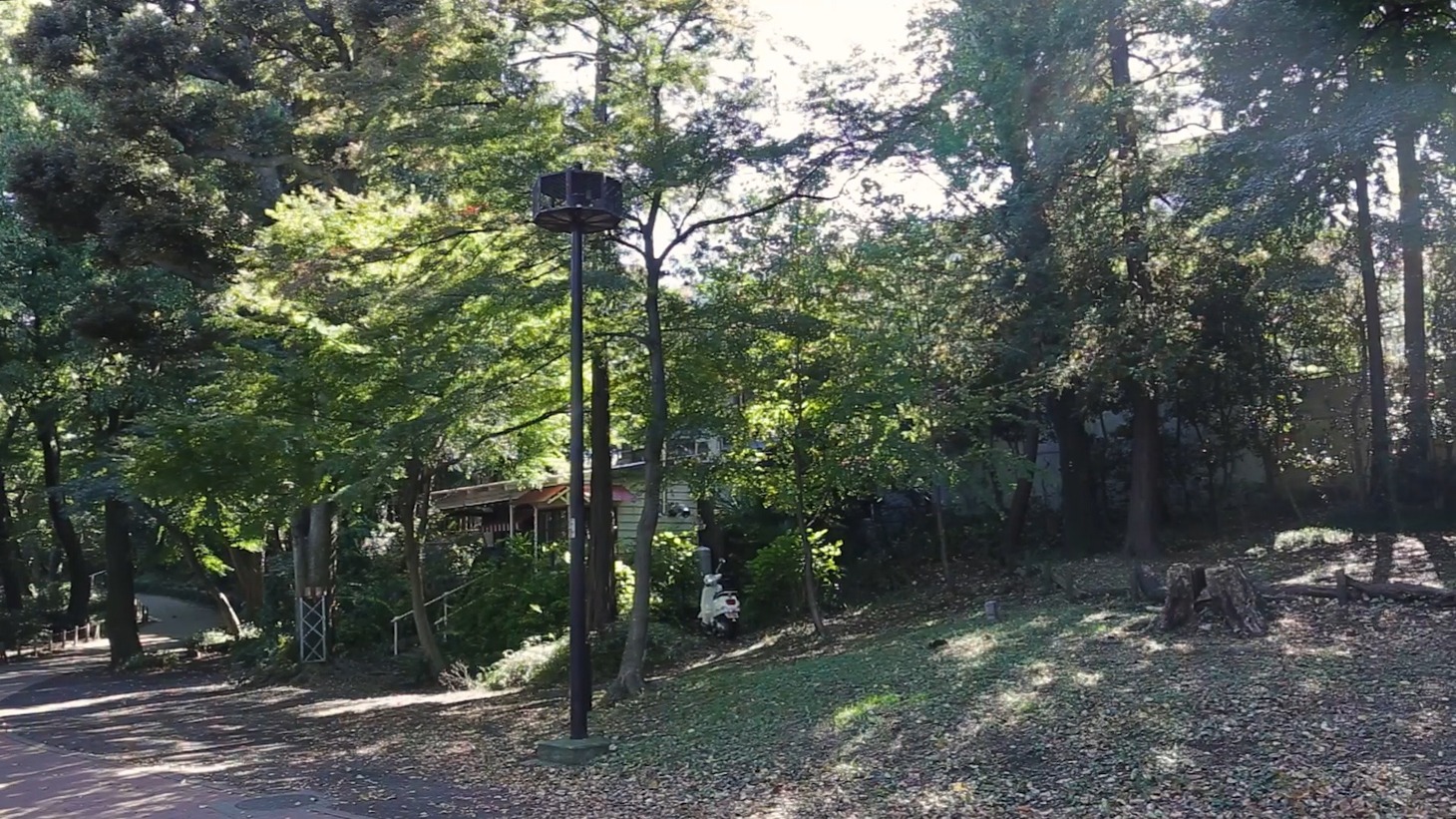 東京・井の頭恩賜公園