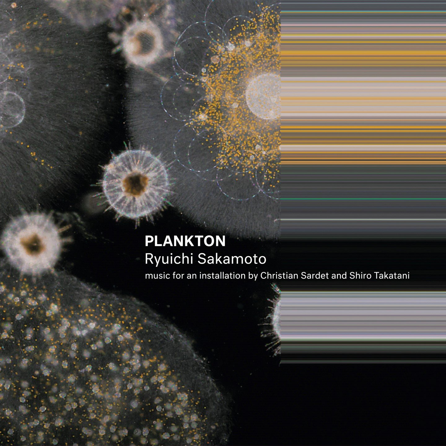 坂本龍一「PLANKTON」アナログ盤ジャケット